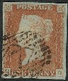 Plate 81 QG