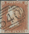 Plate 102 TE