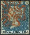 Plate 1 BF