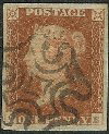Plate 14 QE