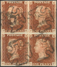 Plate 13 FE-GF