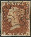 Plate 19 QF