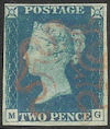 Plate 1 MG