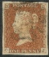 Plate 24 CJ