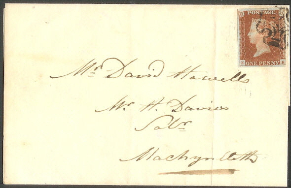 Plate 11 EB